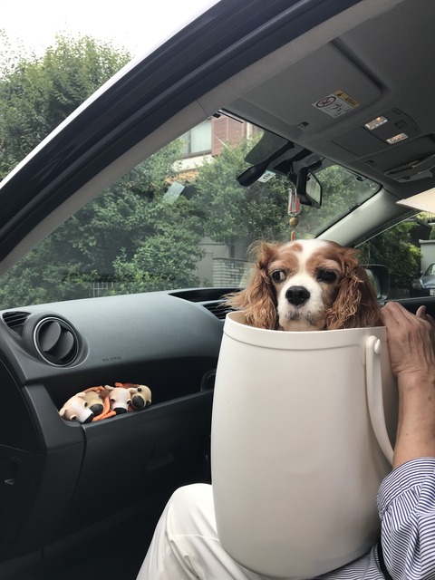 1713A4F5-F87B-45A3-9E7A-3D4445E2FF1F