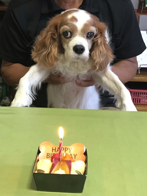 89074FE6-E51C-4C94-8E9D-5F76F27FE94A