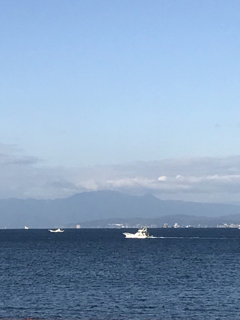 8FE6D571-5277-414A-8413-2CADB9575851