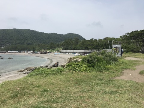 B8AE1E0A-4D31-4CAB-82F1-40C12917531C