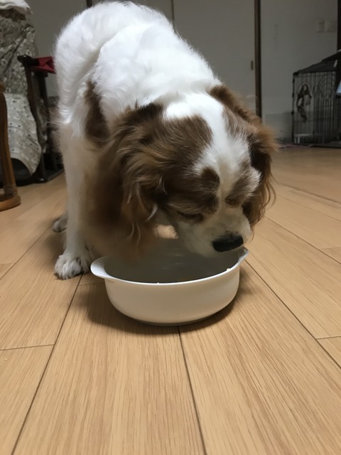 69C6744A-3C8E-4553-BBD3-EE19D9AFB91A