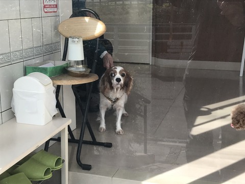 5046FF0F-129C-4EC0-B6E5-A8A0272ECBB1