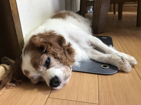 C5616E77-57B2-4986-A61E-09533D8E3827