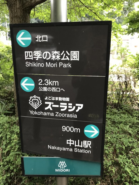 B57288AD-38CE-4C83-808B-A1138060C74E