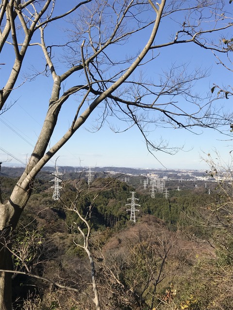 EB102085-1BF6-46CD-A540-7554E63A88EF