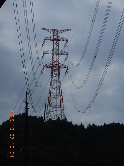 画像101奥高尾 036