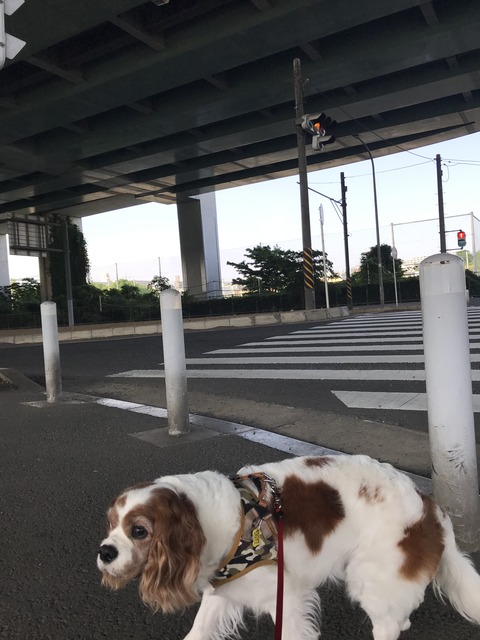 5A463D78-3BE5-4B76-BE67-3F166F3DC6BB