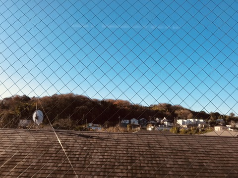 8A506EB4-9B70-4438-9505-A06EB333E93B