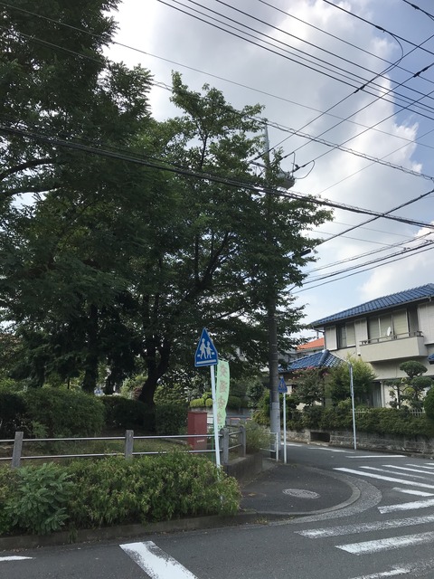 2A344095-EE97-46BD-BD58-9082DF879E4A