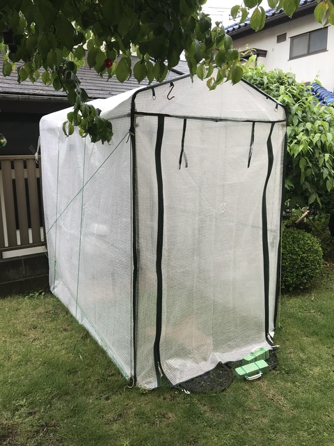 189FBE45-449B-4620-9BAD-DB3E876B45A8