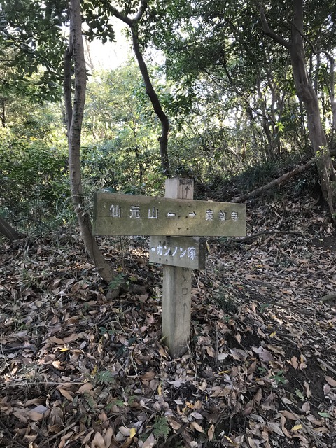 8792E4AA-1DA0-4365-A523-10B528469A65