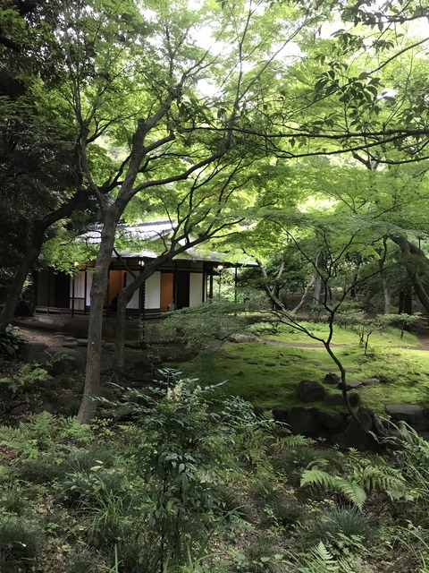 A367E553-966E-43CD-9AE5-C57CD85AC7CC