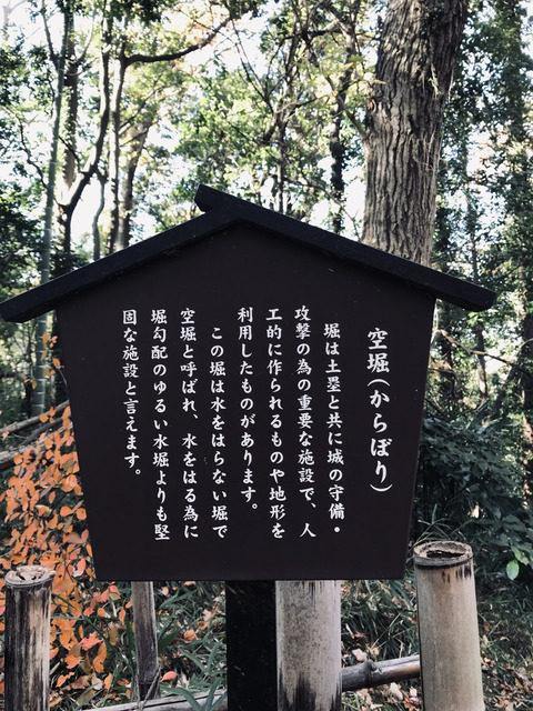 CEA3E558-3538-497A-9F65-39CA9B65C976