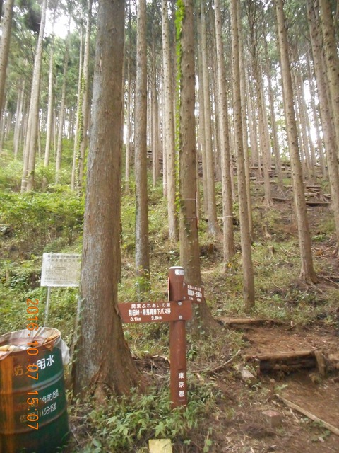 画像101奥高尾 048