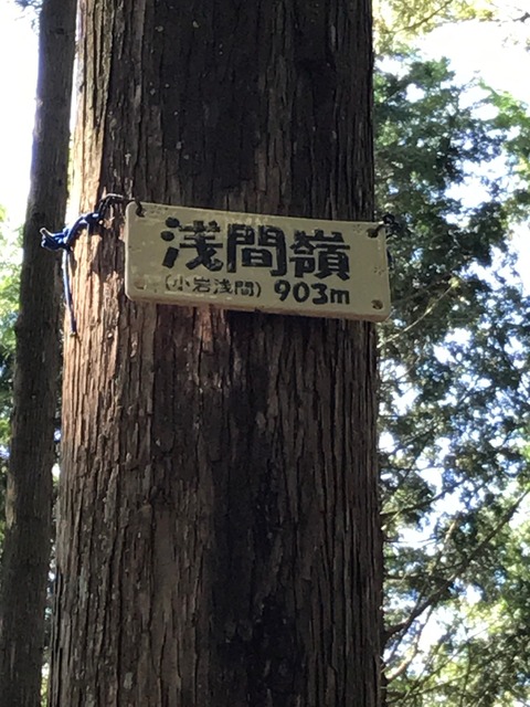 8469D44E-83AC-47AA-8944-47260B90E4D0