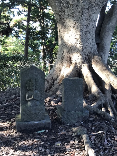 98500BD5-E03A-4897-81CA-0D48FA5C9644