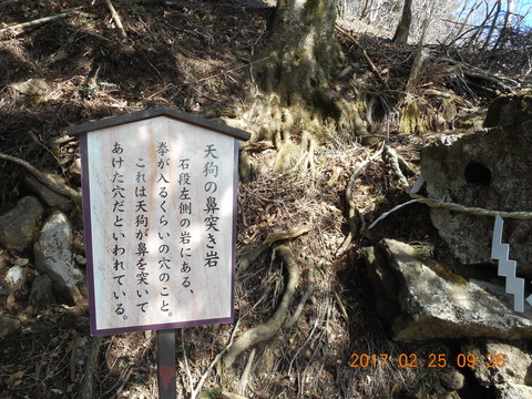 21大山から鶴巻 168