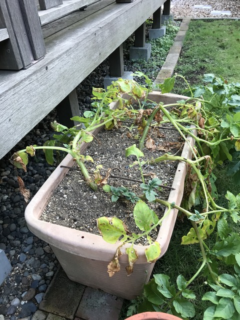 05056475-C4CB-4B86-9B66-959F5E22AE0A