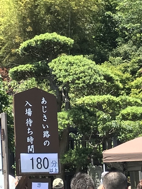 2E3FFC09-9F8E-4C46-88F6-488742941CBD