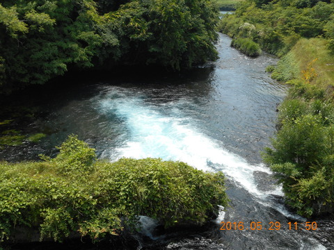 DSCN1258