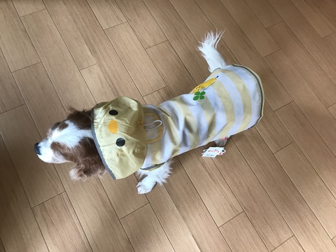 EFADA924-98AA-46C1-85D3-1CBFA9F4841A