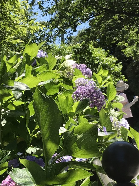 975A0FC9-8E04-473F-9E95-85E0319001E7