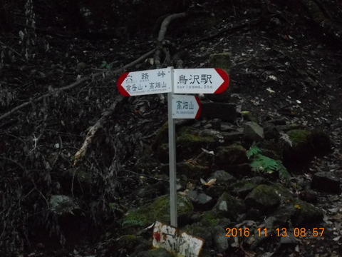 画像101奥高尾 021
