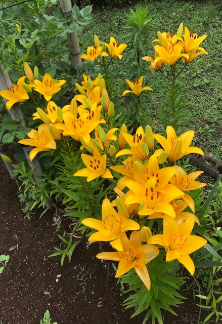 6251C125-95FF-4C02-81B9-E2013562D389