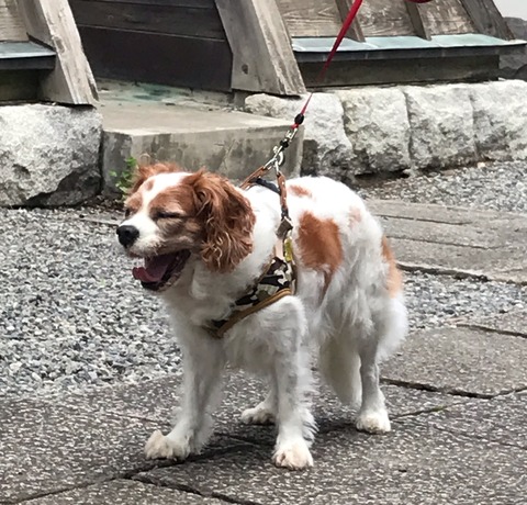 805FA866-98C0-4A3D-A05F-2ABA1D3818C3