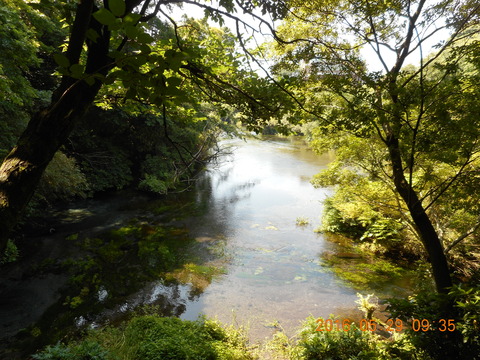 DSCN1212