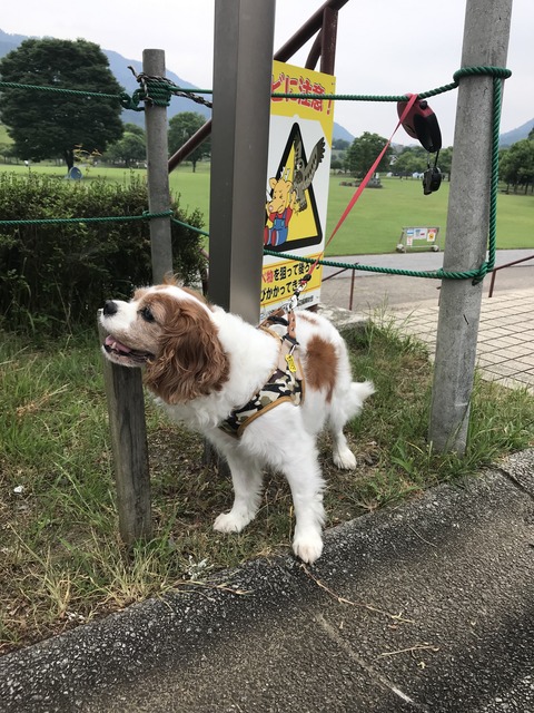 B2DC7323-ADC4-4945-9EAB-4ACC2C07D6C2