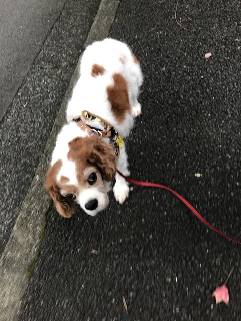 A09034AD-D565-4CAC-AFAB-F6D09A2D143C