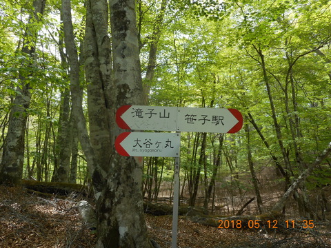 DSCN2875