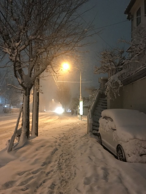 559AB0EF-634C-4CAA-A840-2778206605A4