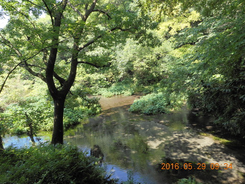 DSCN1211