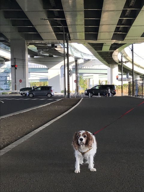 883649AE-F366-4E26-B3AD-FE6A8AFF8F7C