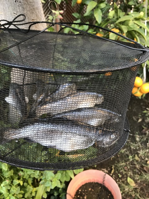 639BB8F1-CE9F-479A-B6C3-75B0CEA66DEE