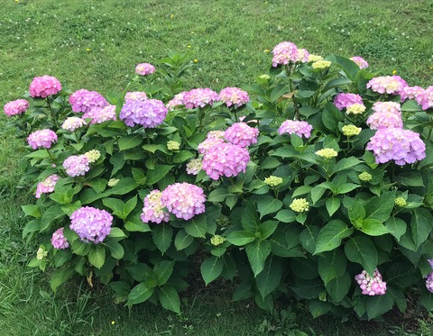 8513F679-F09F-402D-B274-4E46CF3F106F