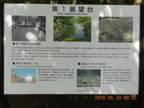 DSCN1210
