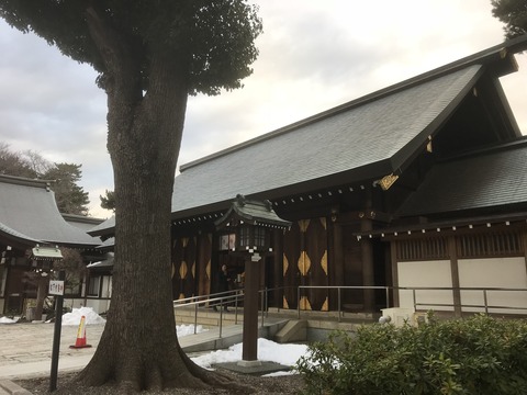 785E6609-A6D2-41C6-8293-122FCE9F598D