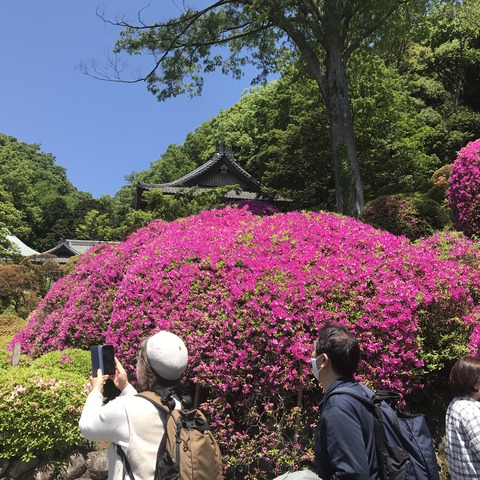 C3690788-BCC7-49D6-B3F0-DFBE99655640