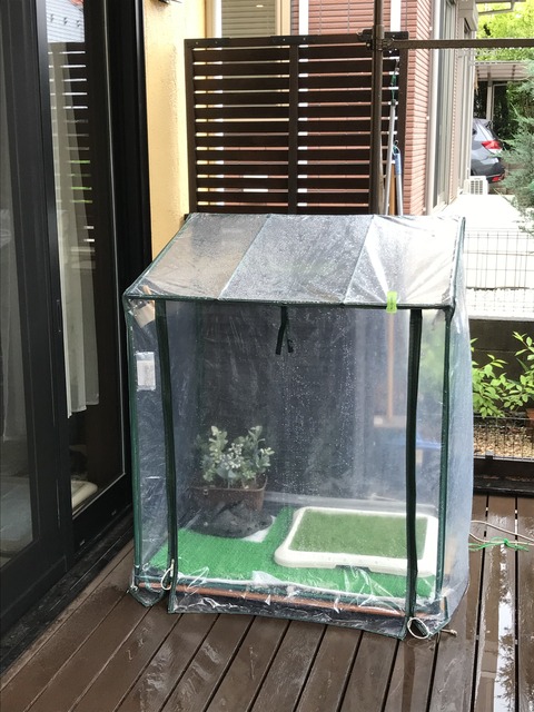 1B40965A-90E3-43B0-89E1-87296CC01542