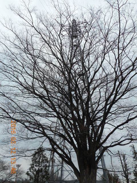 DSCN0870