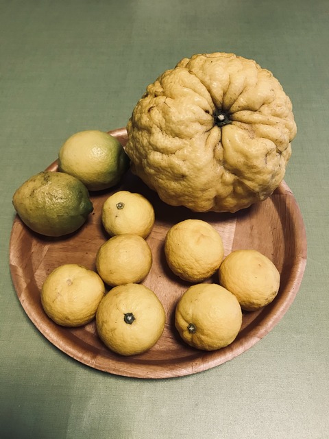 7F1D8719-D4E7-4EEF-AE39-EFD17B5C4797