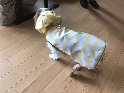 B674552C-0A18-4276-9A28-F0A4282CBE2B