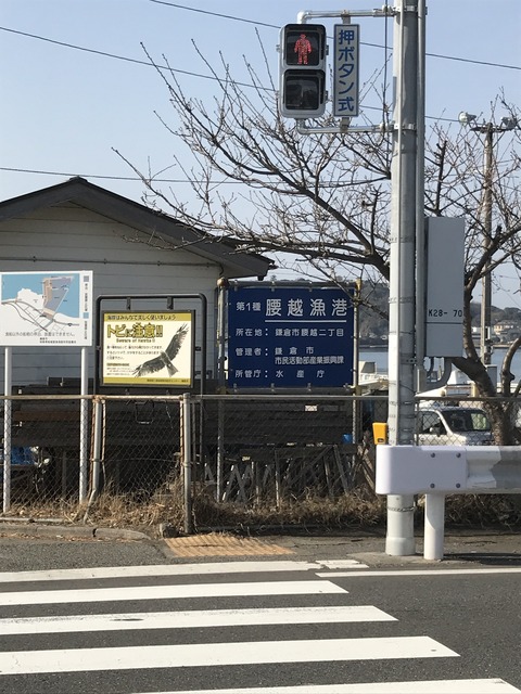 26A763A1-81FE-4EC2-8C1F-51F0271B2A6D