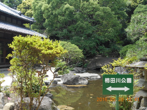 DSCN1276