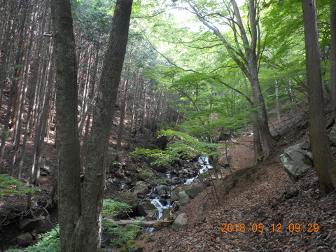 DSCN2862