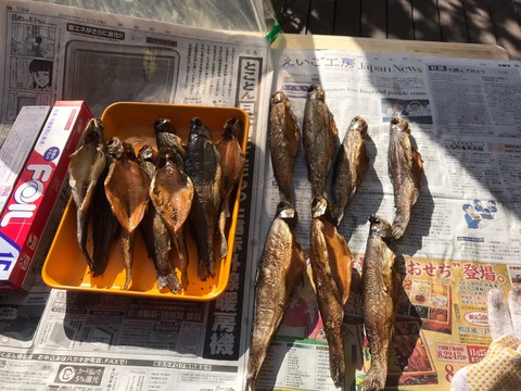 20B267BE-1AFC-46CD-B626-0E75CF98F207