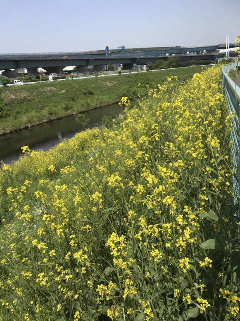 ACD7F0CA-3874-44C3-919E-051BEA733D42
